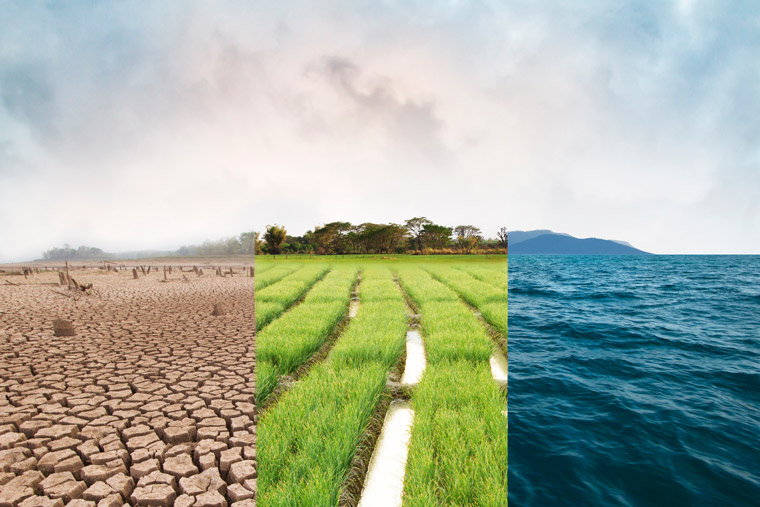 Brands like to be adjacent to climate change content.